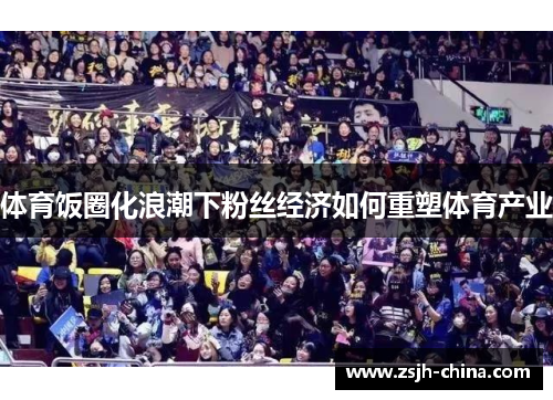 体育饭圈化浪潮下粉丝经济如何重塑体育产业